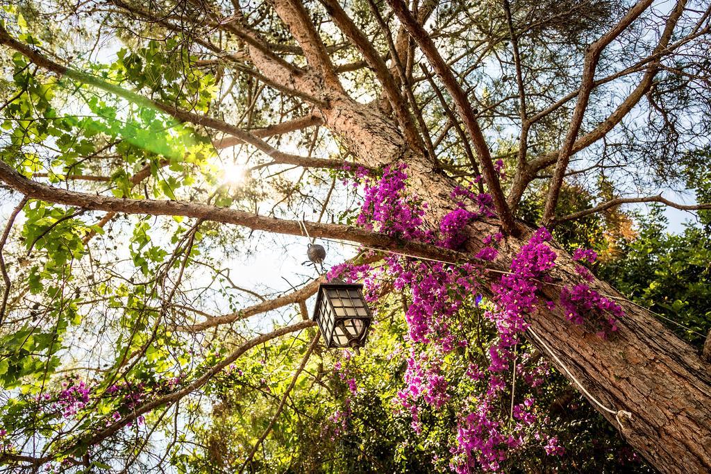 Secret Garden Hotel & Bungalows Чирали Екстер'єр фото